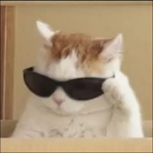 Photo de profil de Guigui