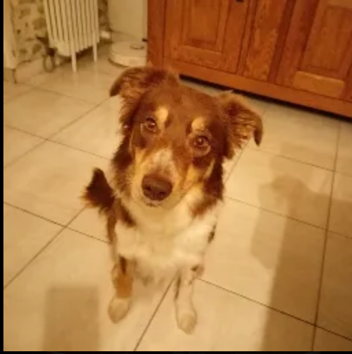 Photo de profil de Maelle